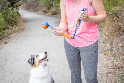 Chuckit! Fetch & Fold Mini 18M Dog Ball Launcher - 18" Long Handle Compatible with Medium 2.5" Ball (Included), for Medium Pets 20 to 60 Lbs5