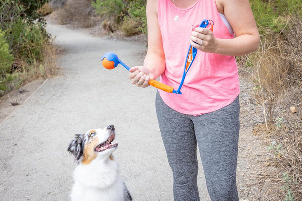 Chuckit! Fetch & Fold Mini 18M Dog Ball Launcher - 18" Long Handle Compatible with Medium 2.5" Ball (Included), for Medium Pets 20 to 60 Lbs5
