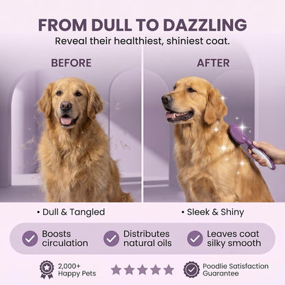 Round Bristle Pet Brush for Dogs and Cats - Soft Dog Brush for Grooming Short or Long Hair - Gentle Tool for Sensitive Skin Removes Dander, Dirt, and Detangles (Purple)6