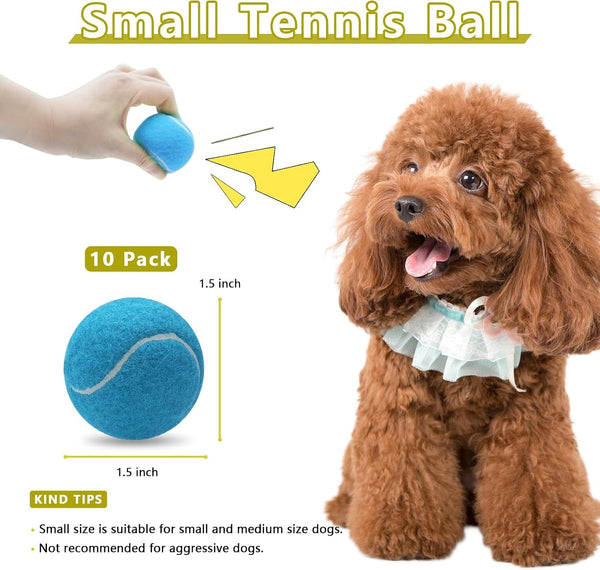 Magicorange 10 Pack Squeaky Mini Tennis Balls, 1.5 Inch Small Dog Ball | Tennis Balls for Small Breed Dogs,Colorful Easy Catching Pet Dog Playing Ball,Bright Fluorescent Multicolor2
