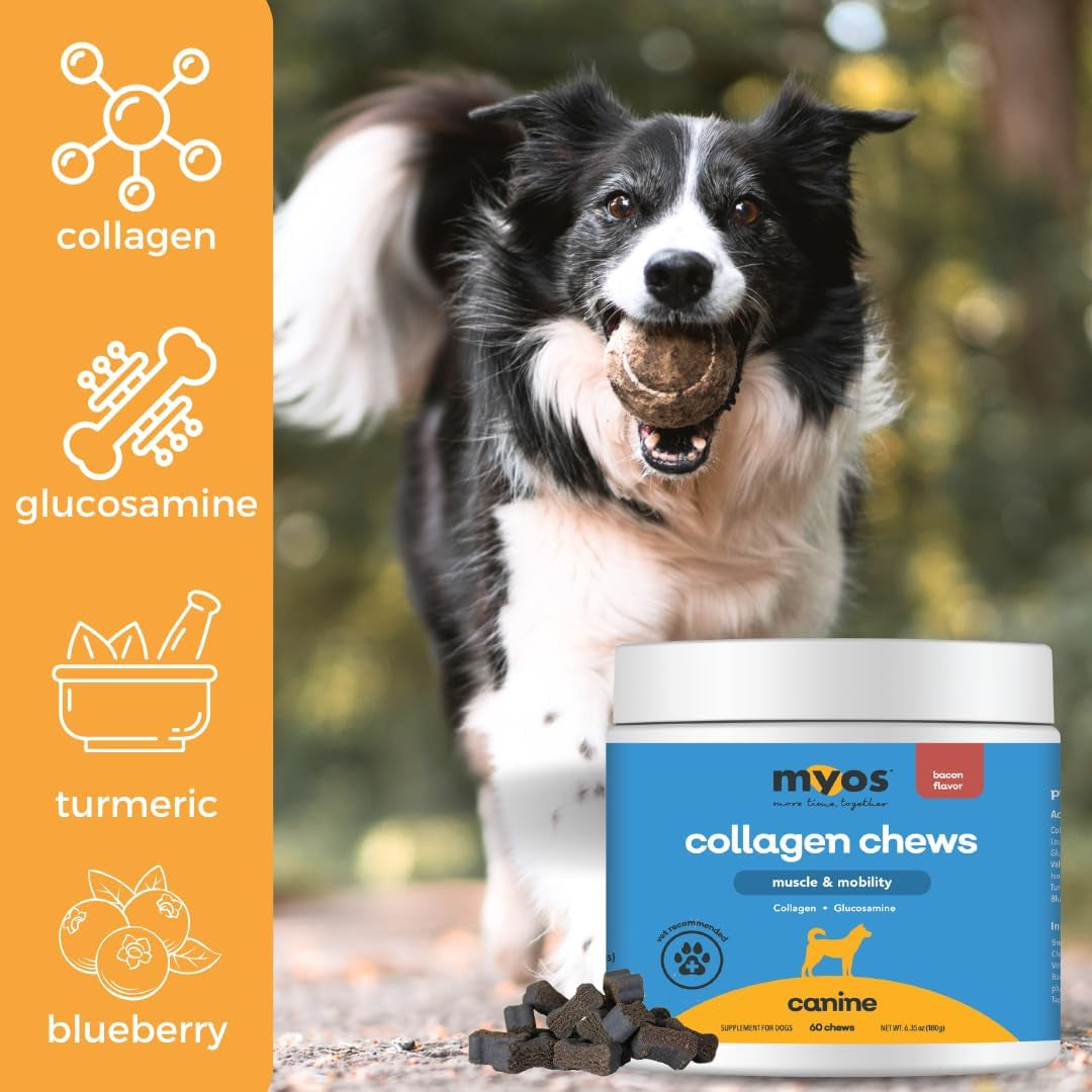 myos-canine-muscle-mobility-chews-collagen-glucosamine-for-dogs-bacon-flavor-joint-supplement-for-muscle-bone-joint-support-60-count
