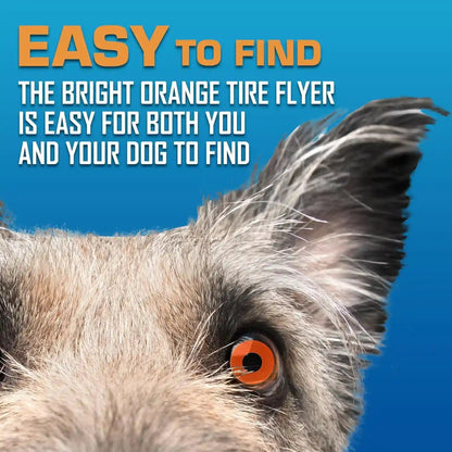 Nerf Dog Atomic Flyer Outdoor Dog Toy, 10 Inch Flying Disc Dog Fetch Toy, Rubber Dog Toy for Medium Dogs and Large Dogs, Orange6