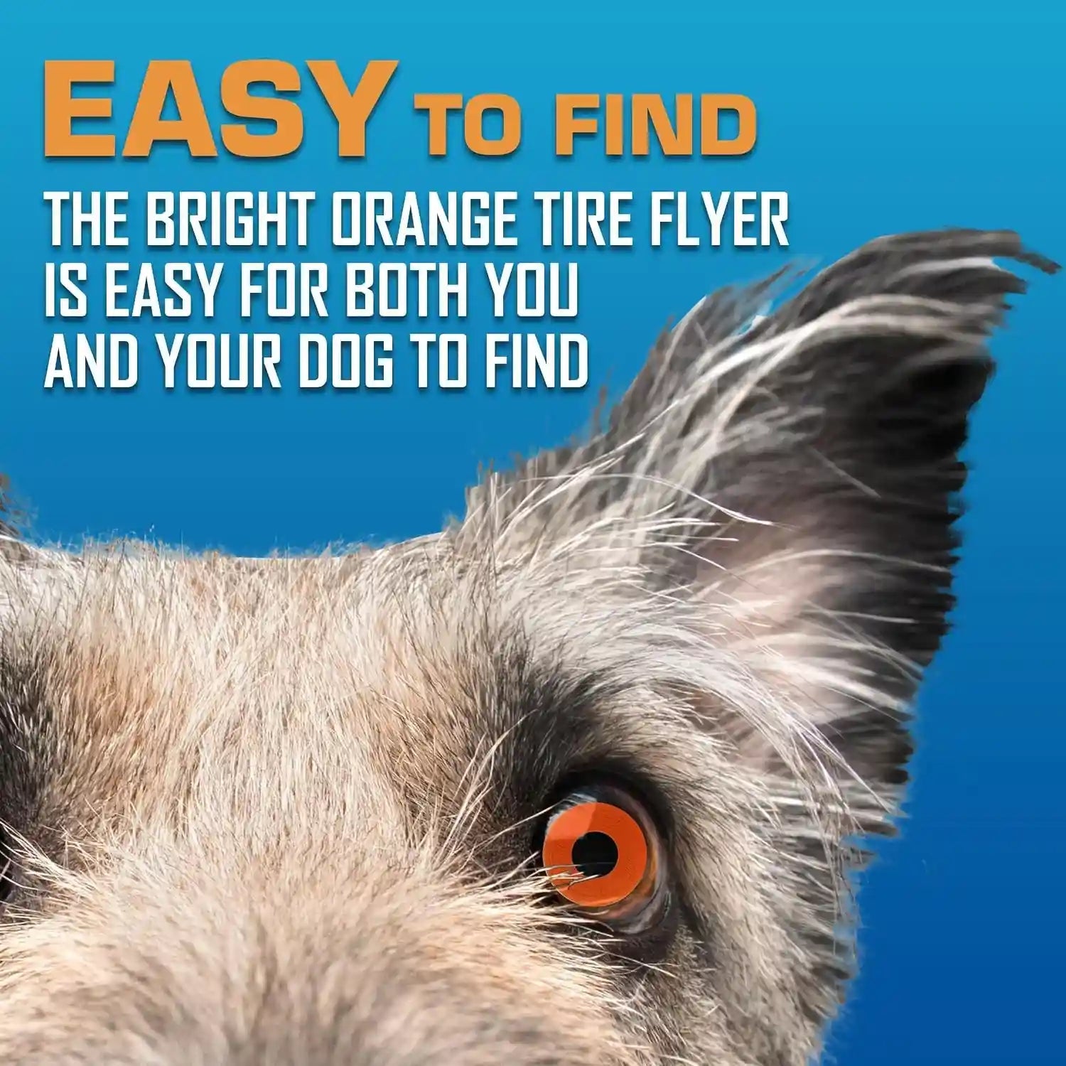 nerf-dog-atomic-flyer-outdoor-dog-toy-10-inch-flying-disc-dog-fetch-toy-rubber-dog-toy-for-medium-dogs-and-large-dogs-orange