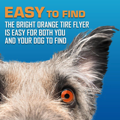 Nerf Dog Atomic Flyer Outdoor Dog Toy, 10 Inch Flying Disc Dog Fetch Toy, Rubber Dog Toy for Medium Dogs and Large Dogs, Orange6