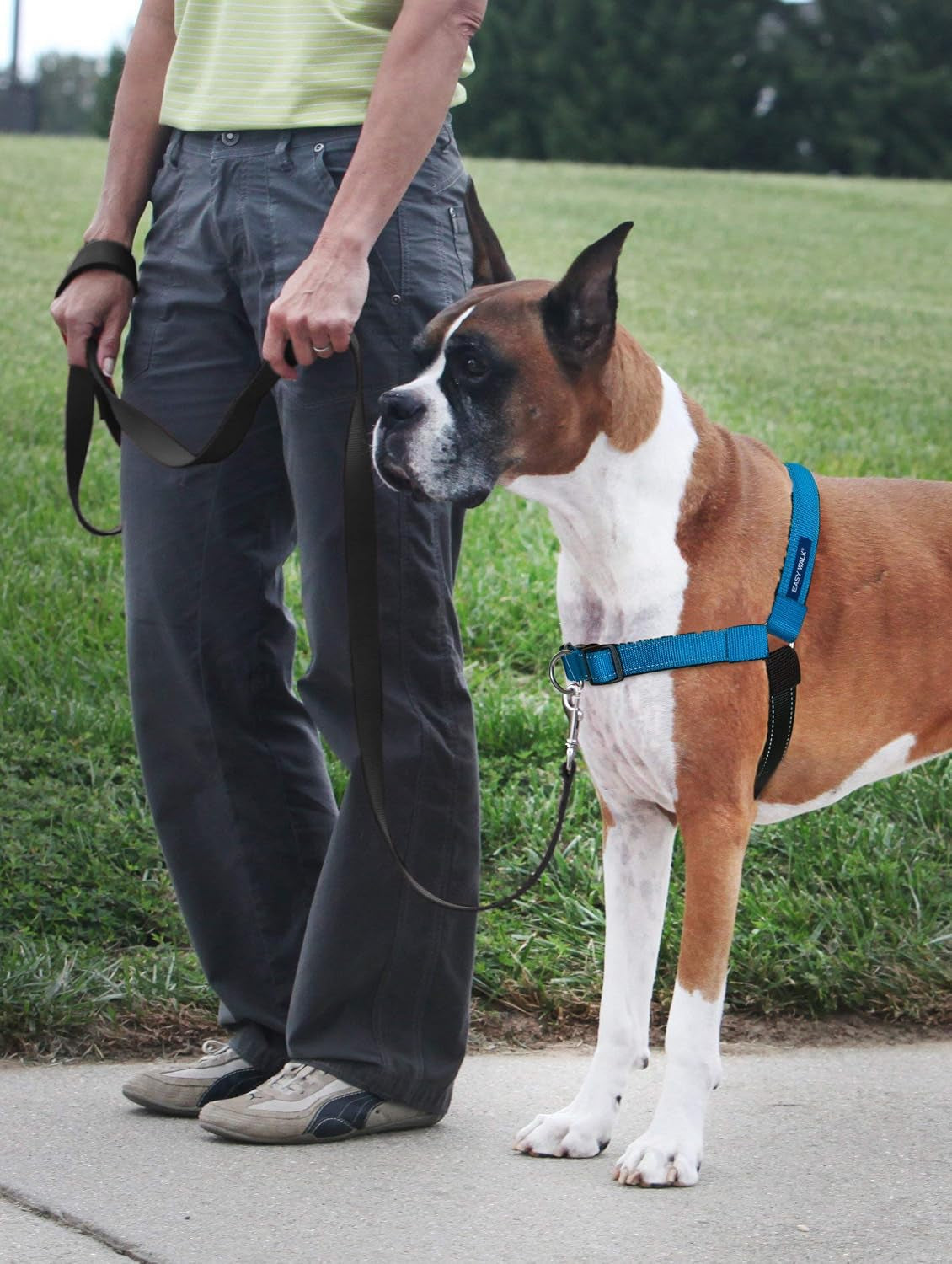 petsafe-easy-walk-deluxe-dog-harness-no-pull-dog-harness-perfect-for-leash-harness-training-stops-pets-from-pulling-and-choking-on-walks-medium-ocean