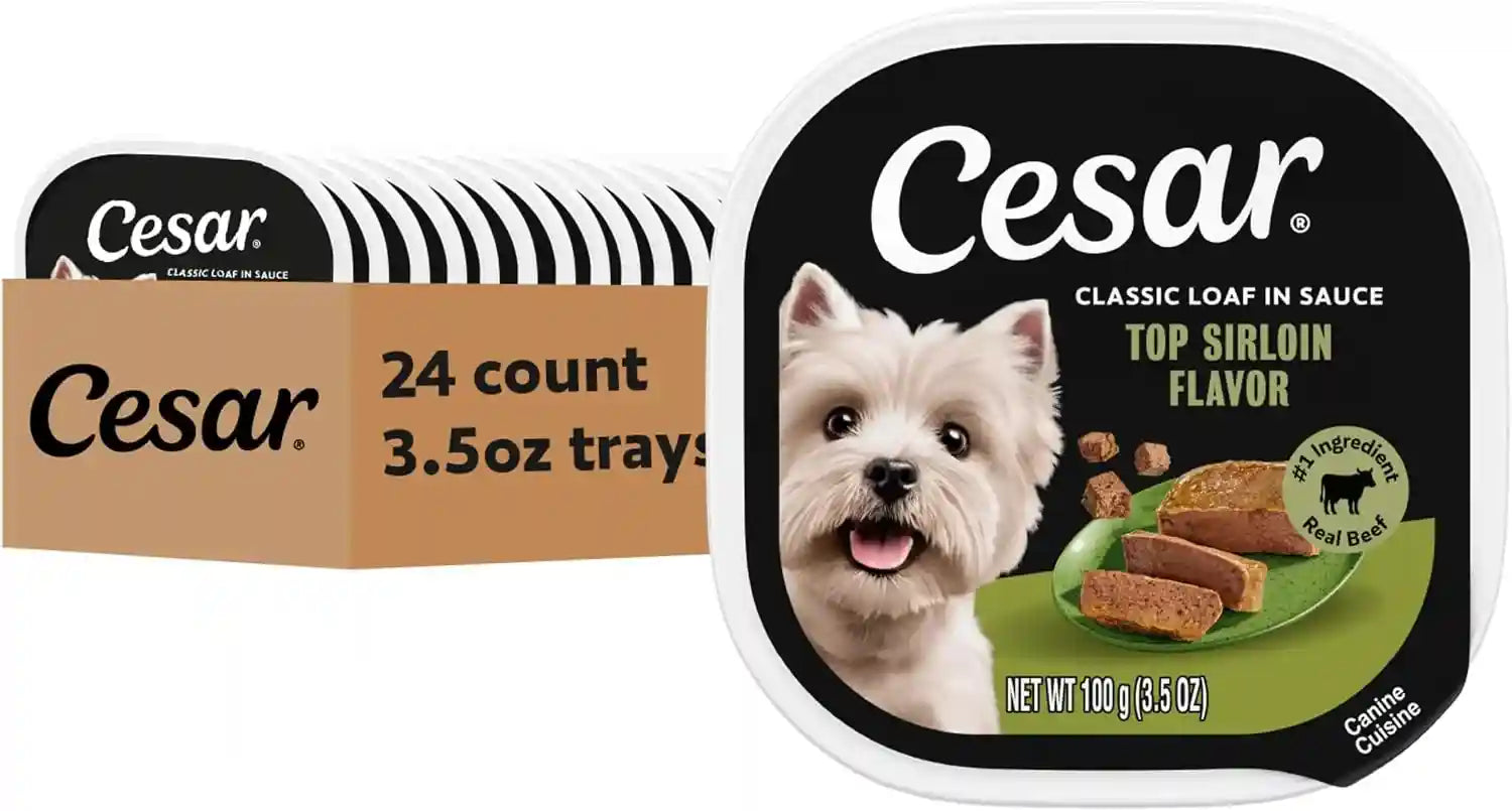 cesar-classic-loaf-in-sauce-wet-dog-food-filet-mignon-3-5-oz-24-count-made-in-usa-real-beef-1-ingredient-no-fillers-added-sugar-artificial-flavors-use-as-meal-or-topper-easy-peel-trays