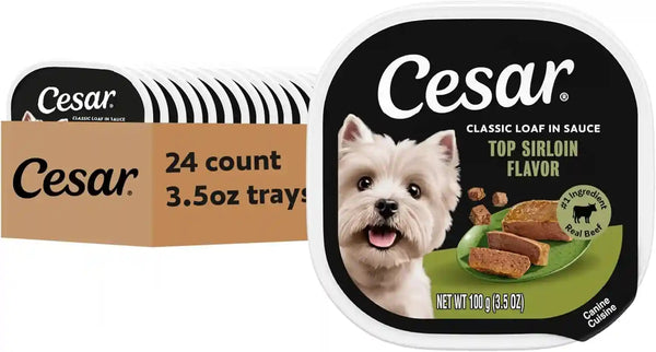 Cesar Classic Loaf in Sauce Wet Dog Food, Filet Mignon, 3.5 Oz, 24 Count | Made in USA, Real Beef #1 Ingredient, No Fillers/Added Sugar/Artificial Flavors, Use as Meal or Topper, Easy Peel Trays17