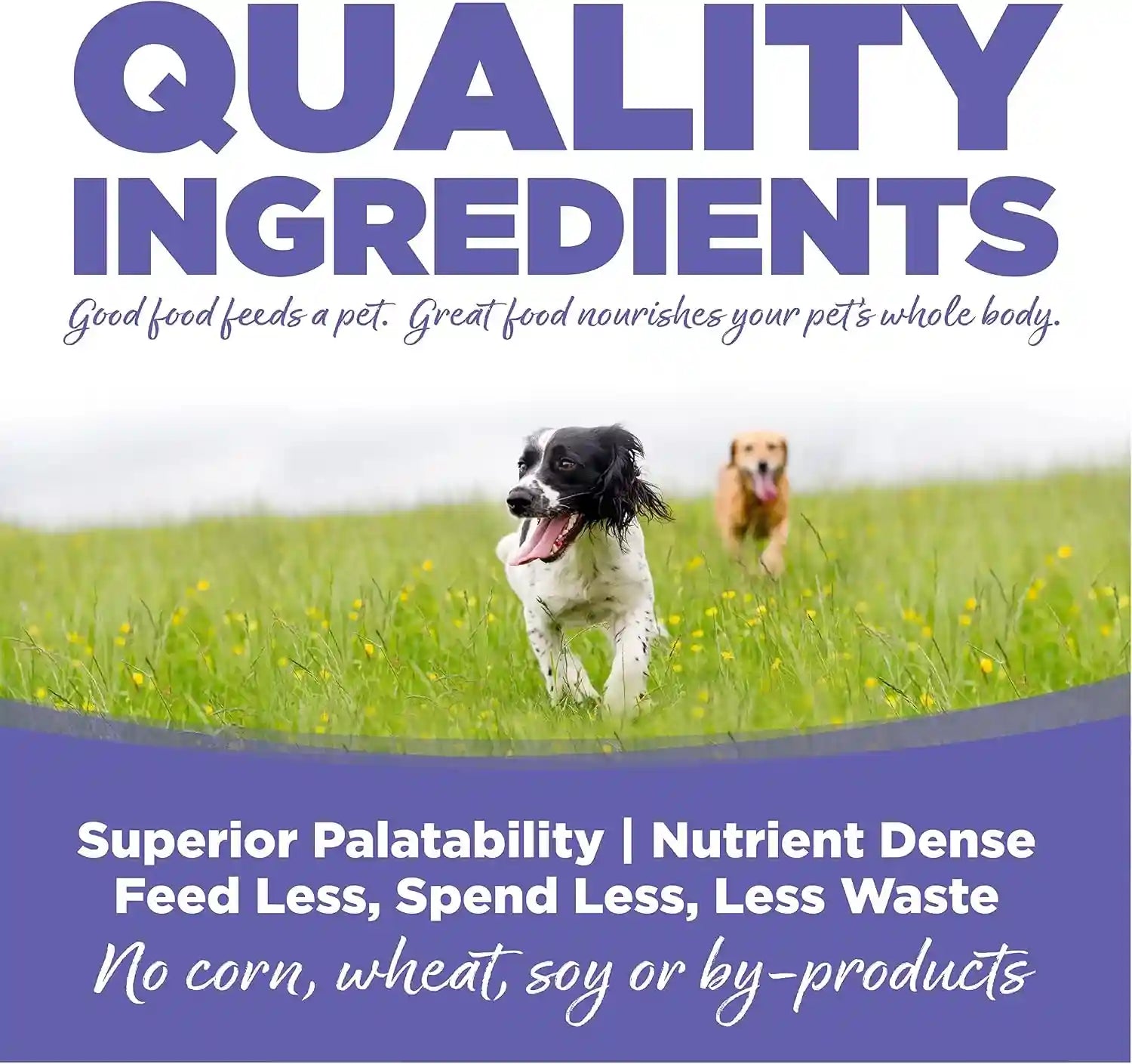 nutrisource-small-medium-breed-puppy-dry-dog-food-26-lb-chicken-and-rice-high-protein-sensitive-stomach-probiotics-grain-inclusive