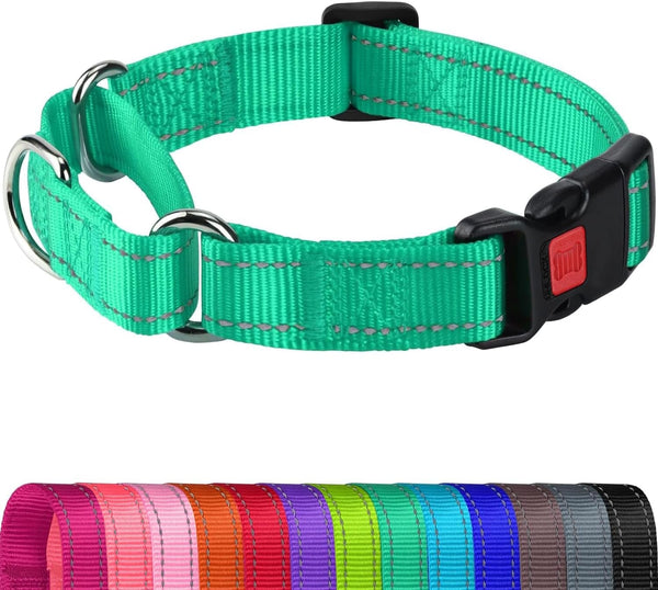 Joytale Martingale Collar for Dogs, Escape Proof No Pull, Hotpink, M | Gentle Cinch Stops Pulling without Choking, Safety Lock Buckle, Reflective Stitching for Night Walks, Soft Nylon12