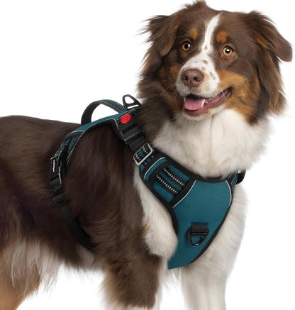 Rabbitgoo Large Dog Harness, Easy Wear with 3 Buckles and Lift Handle | No Pull with Front Clip for Walking, Adjustable Soft Padded, Reflective, Easy Control, Pink, Large11