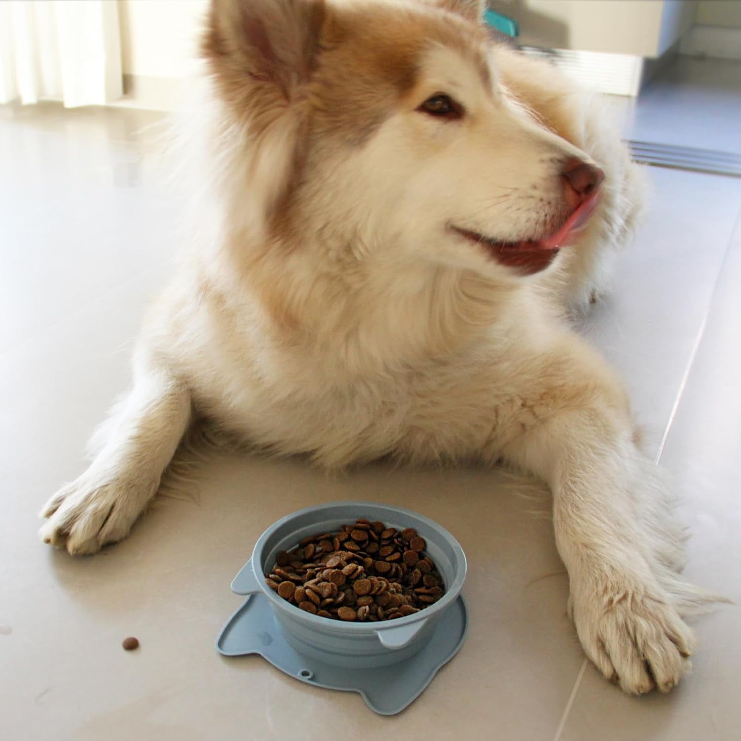 runrole-2-in-1-collapsible-dog-travel-water-bowls-portable-pet-cat-bowl-slot-together-use-separately-bpa-free-silicone-feeding-watering-foldable-travel-bowls-pet-travel-food-dishes-20oz-27oz