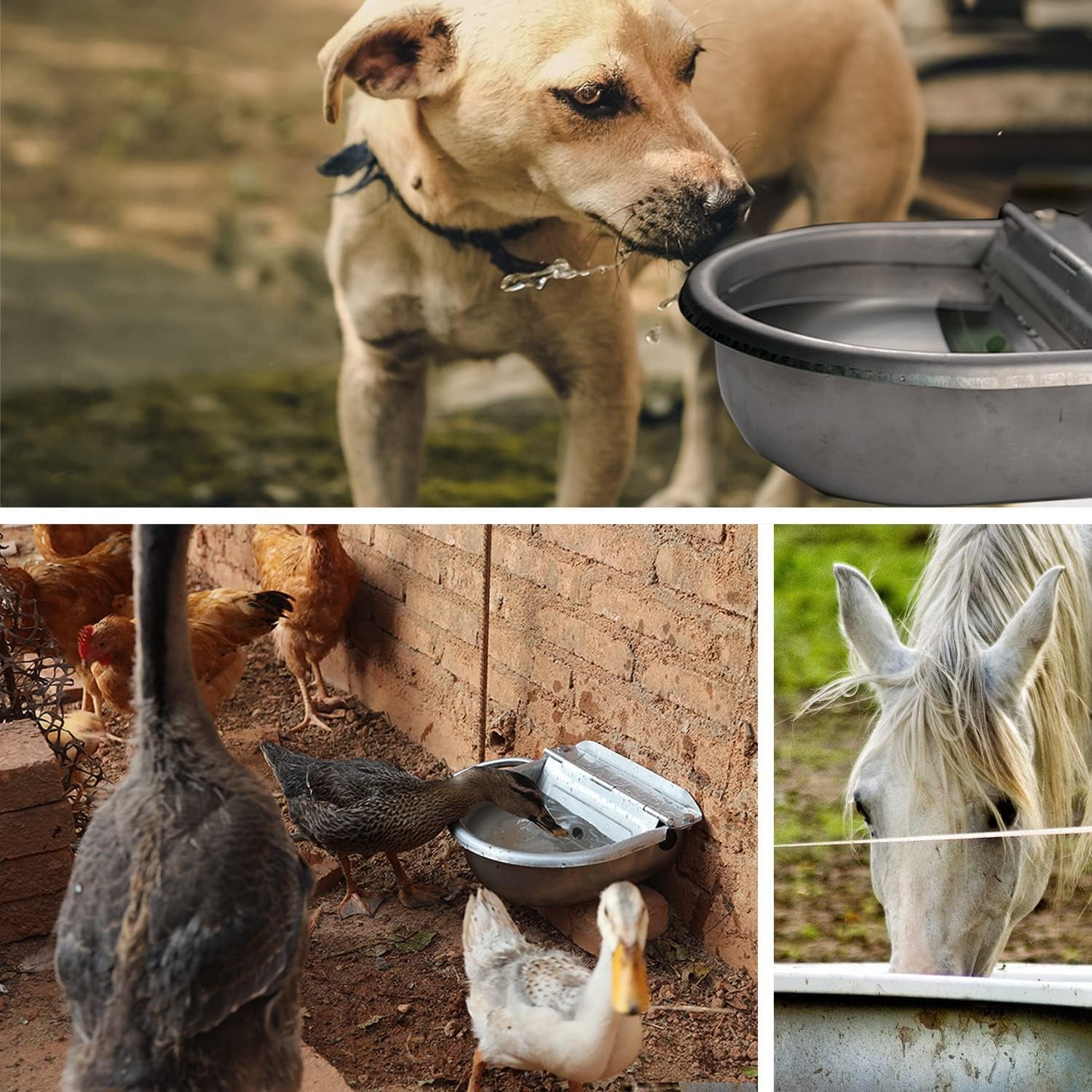 automatic-water-dispenser-for-dog-water-bowl-dispenser-large-size-stainless-steel-waterer-feeder-self-filling-water-trough-for-poultry-and-livestock-stainless-steel-large
