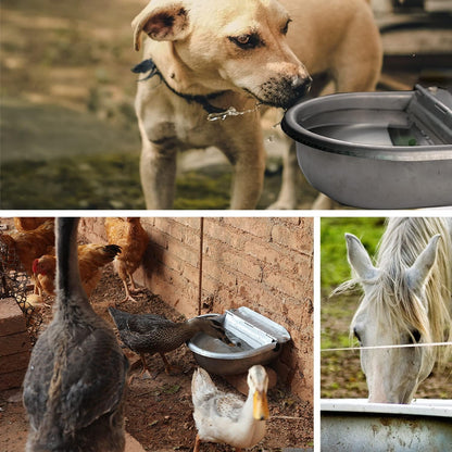 Automatic Water Dispenser for Dog Water Bowl Dispenser Large Size Stainless-Steel Waterer Feeder Self Filling Water Trough for Poultry and Livestock (Stainless Steel, Large)2