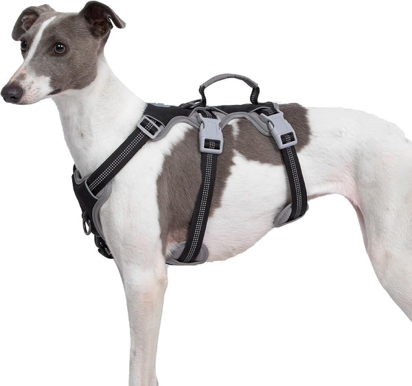 Huntboo Escape Proof Dog Harness, Escape Artist Harness, Reflective Harness with Padded Handle, Breathable, Durable, Adjustable Vest for Medium Dogs Walking, Training, and Running Gear (Blue, M)13