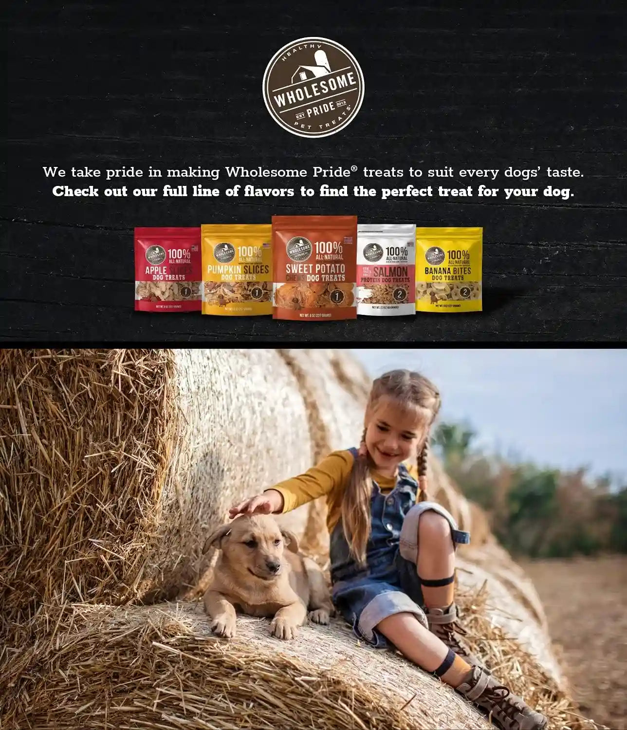 wholesome-pride-healthy-sweet-potato-chews-sensitive-stomach-dog-treats-no-preservatives-single-ingredient-no-grain-16-oz