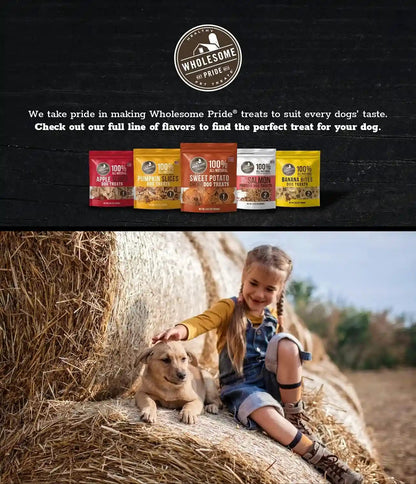 Wholesome Pride Healthy Sweet Potato Chews – Sensitive Stomach Dog Treats, No Preservatives, Single-Ingredient, No Grain, 16 Oz9