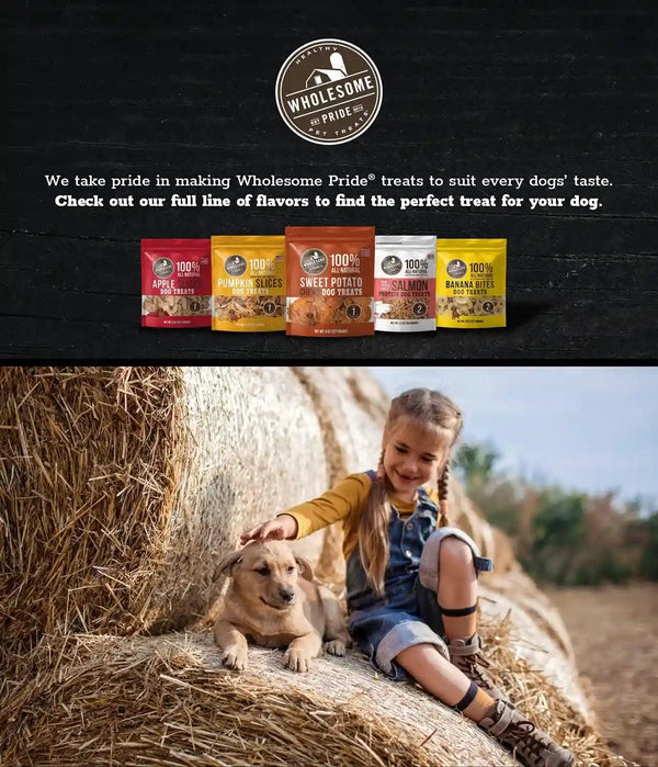 Wholesome Pride Healthy Sweet Potato Chews – Sensitive Stomach Dog Treats, No Preservatives, Single-Ingredient, No Grain, 16 Oz9