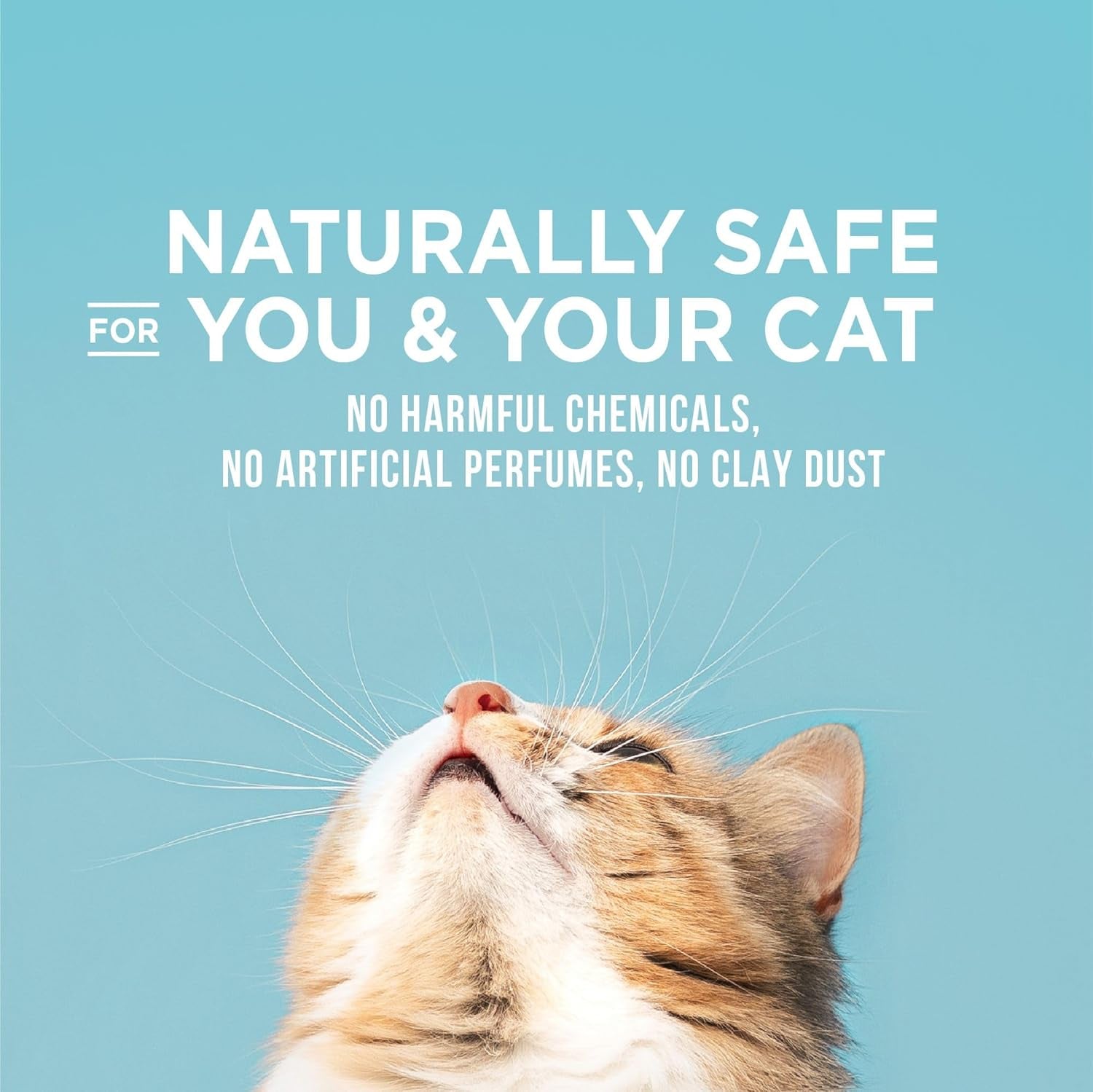 worlds-best-cat-litter-poop-fighter-urine-poop-odor-defense-15-lb-bag