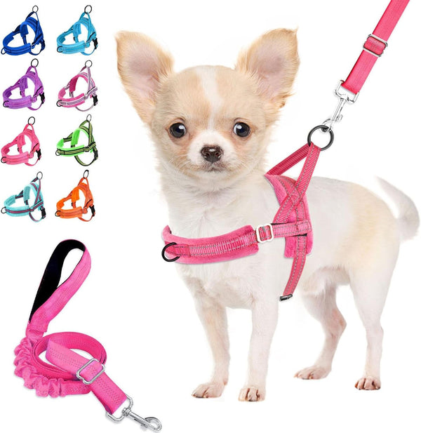 Lukovee No Pull Dog Harness and Leash Set, Soft Padded Small Dog Harness, Neck & Chest Adjustable Reflective Vest Puppy Harness with 4Ft Lightweight Anti-Twist Dog Leash for Small Dogs (XS, Blue)15