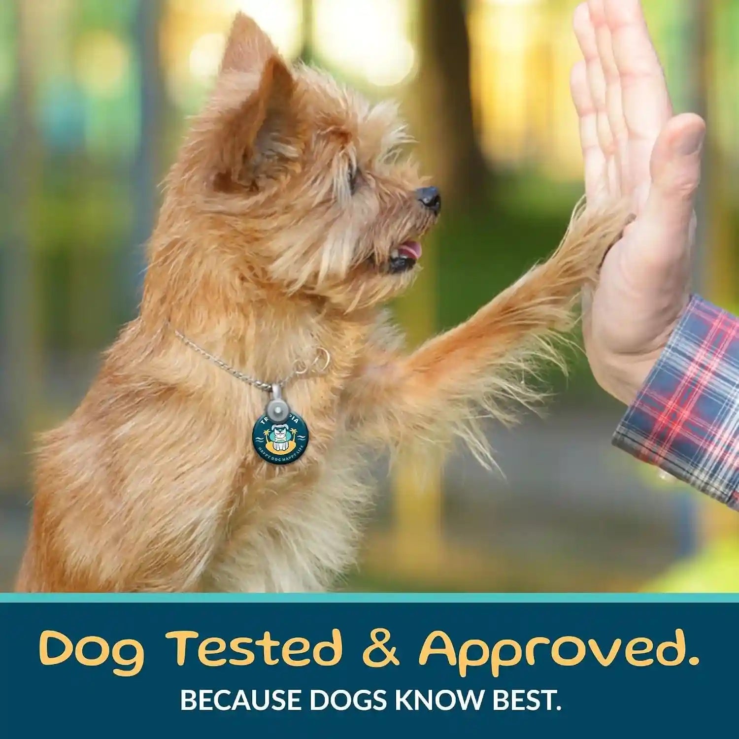 treatopia-beef-lung-nuggies-dog-treats-1-lb-bag-all-natural-healthy-high-protein-hand-trimmed-slow-roasted-made-in-the-usa-nutritious-no-additives-no-fillers-all-life-stages