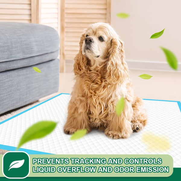 IMMCUTE Puppy Pads 22"X23" 100 Count | 6-Layer Leak-Proof & Super Absorbent Dog Training Pads | Disposable Potty Pads for Puppies, Dogs, Cats & Rabbits | Blue & White5