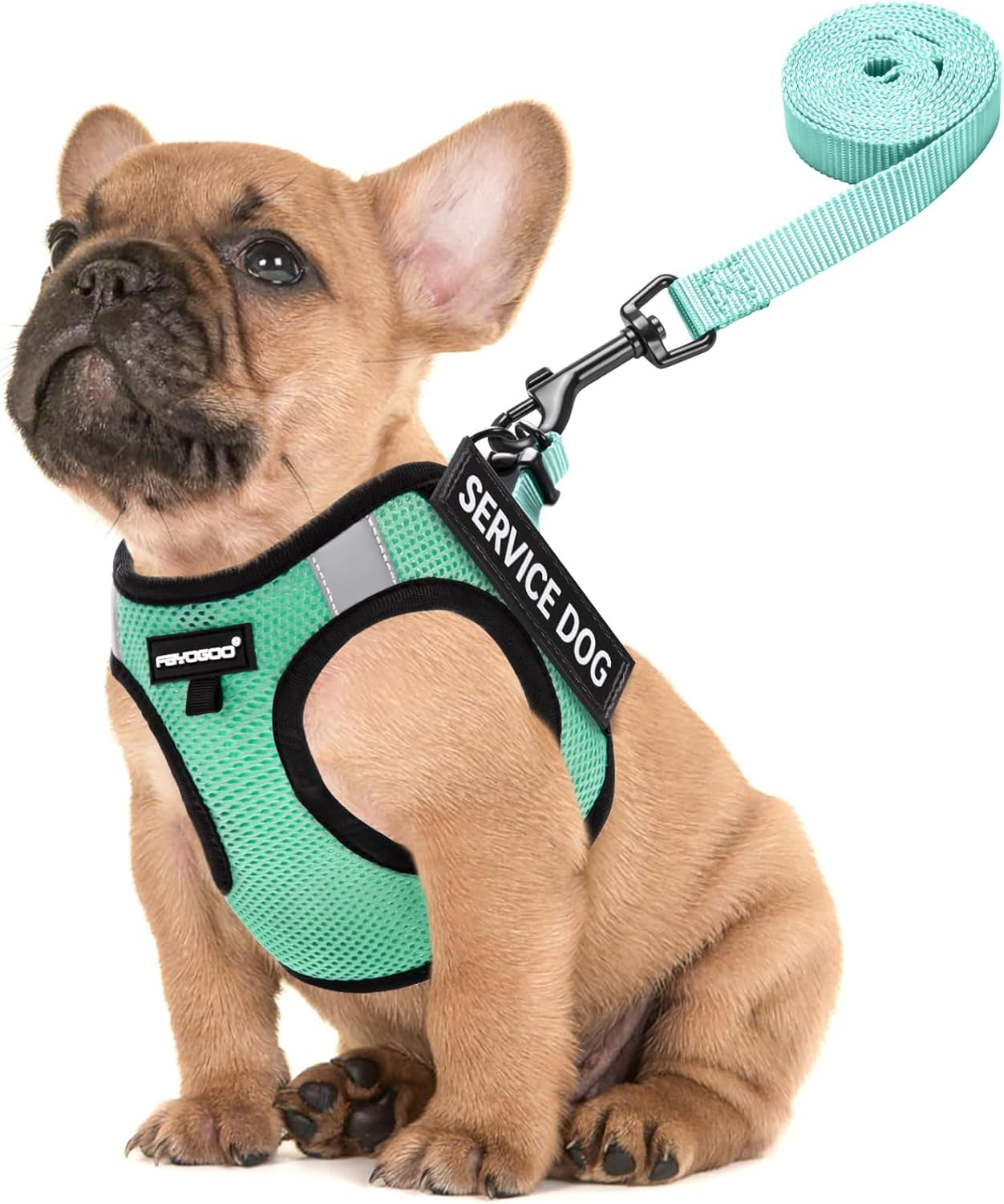 fayogoo-service-dog-vest-for-small-dogs-lightweight-dog-harness-with-6pcs-removable-patches-puppy-harness-and-leash-set-for-walking-training