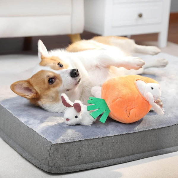 Amazon Basics Interactive Hide and Seek Squeaky Dog Plush Toy with Squeaker for Small Dogs, Rabbit and Carrot, Orange and White, 5-Pack9