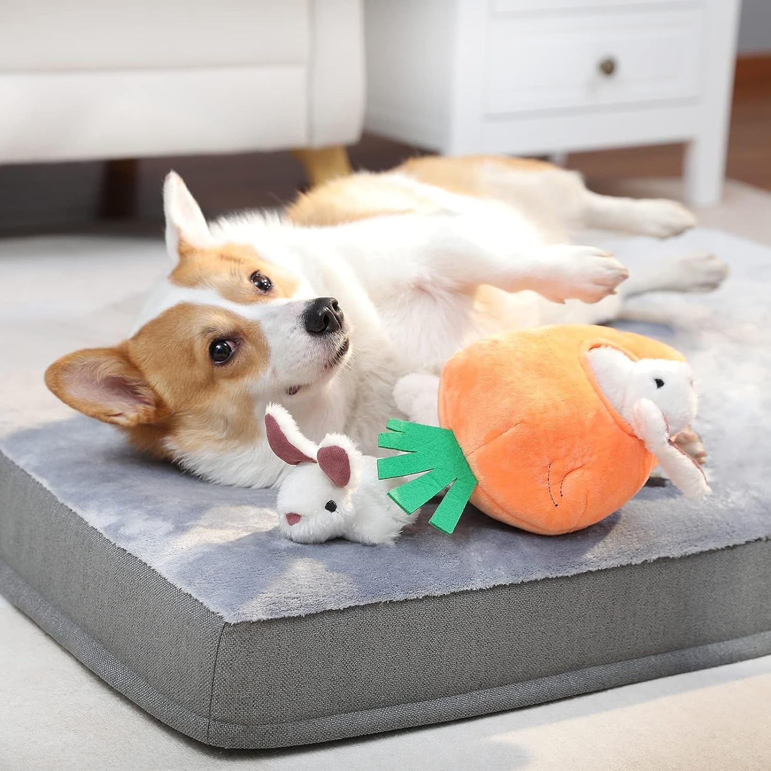 amazon-basics-interactive-hide-and-seek-squeaky-dog-plush-toy-with-squeaker-for-small-dogs-rabbit-and-carrot-orange-and-white-5-pack