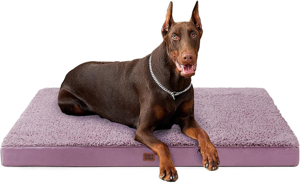 EHEYCIGA Orthopedic Dog Bed Large with Removable Washable Cover,Grey,41X27 | Egg Crate Foam Support,Durable Oxford Fabric,Non-Slip Bottom,Machine Washable,Soft Waterproof Plush Pet Bed Mat for Crate47