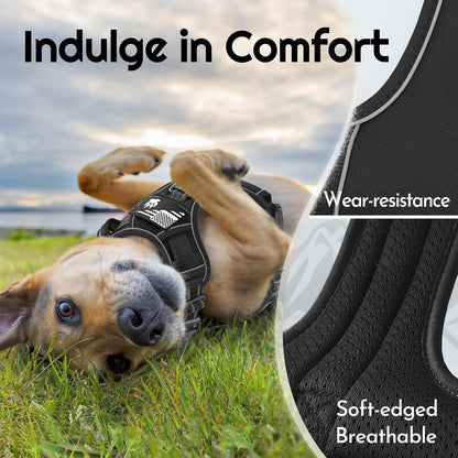Eagloo Dog Harness No Pull for Large Dogs, Easy on & off with 3 Buckles | No Choke with Front Clip, Adjustable Fit, MOLLE System, Reflective Vest, Easy Control for Walking, Black, Large6
