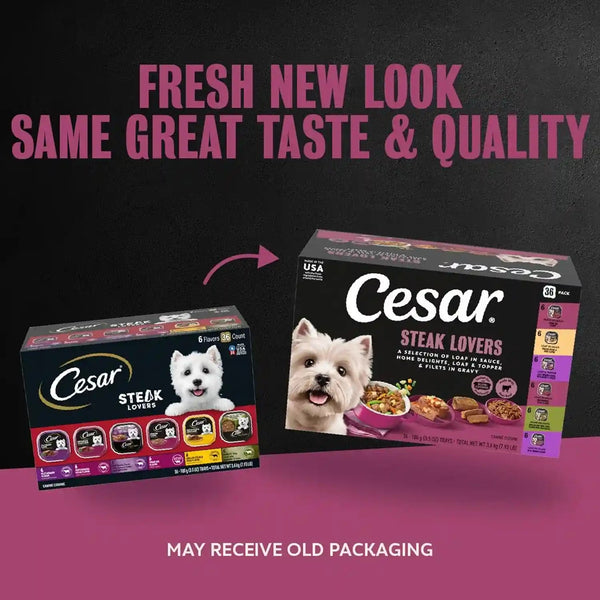 Cesar Wet Dog Food, Steak Lovers Variety Pack, 3.5 Oz, 36 Count | Real Meat #1 Ingredient, Easy Peel Trays, 100% Complete & Balanced, No Fillers, No Added Sugar, No Artificial Flavors2