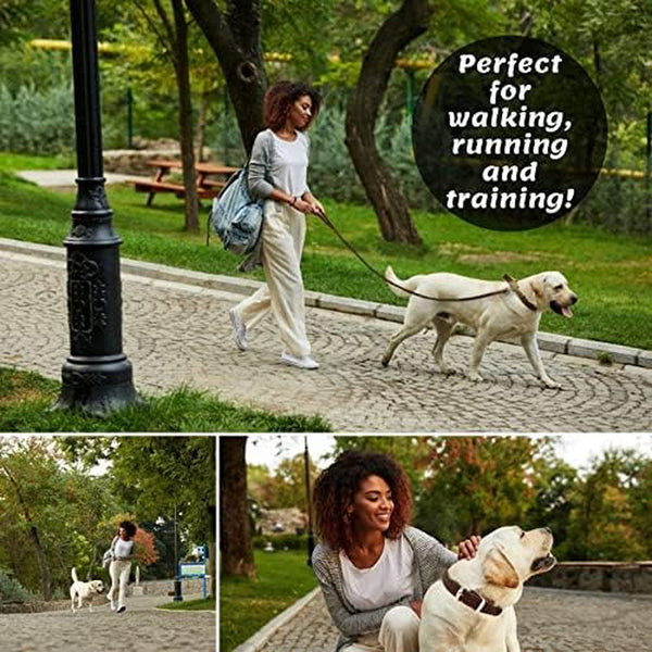 ADITYNA Leather Dog Leash for Small & Medium Dogs, 6Ft X 5/8" | Soft yet Strong Leather Leash for Walking, Training, Hiking — Great for Shih Tzu, Poodle, French Bulldog, Corgi.2