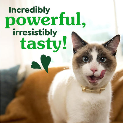 Greenies Feline Natural Crunchy Dental Cat Treats, Salmon Flavor, 21 Oz | #1 Vet-Recommended, Clinically-Proven Oral Care, 36% Less Tartar in 28 Days, Cleans to Gumline, Natural Ingredients8