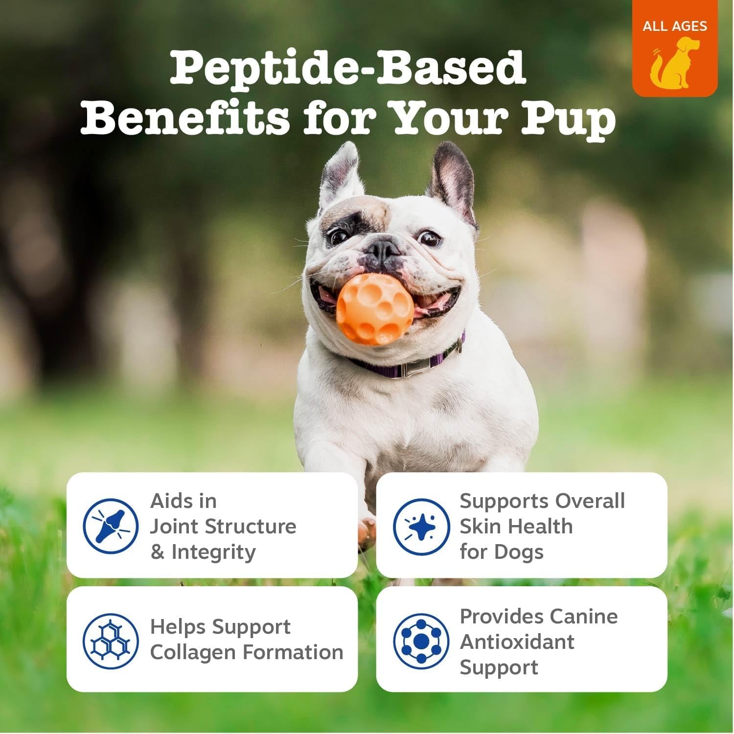 zesty-paws-multi-collagen-soft-chews-for-dogs-for-hip-joint-cartilage-support-skin-health-with-collagen-plus-eggshell-membrane-vitamin-c-hyaluronic-acid-90-count