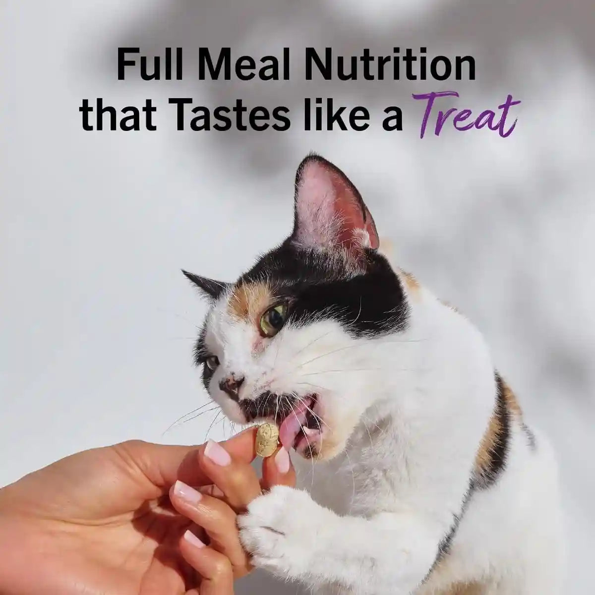 stella-chewys-freeze-dried-raw-cat-dinner-morsels-premium-chicken-recipe-with-98-cage-free-meat-organs-natural-grain-free-cat-kitten-food-made-in-usa-18-oz