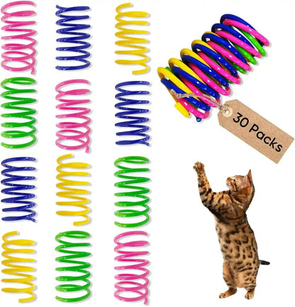 Cat Toys for Indoor Cats, 30 Pack Interactive Cat Spring Toys, Durable Colorful Plastic Spiral Springs for Kitten Hunt, Swat and Bite, Bulk Cat Toys1