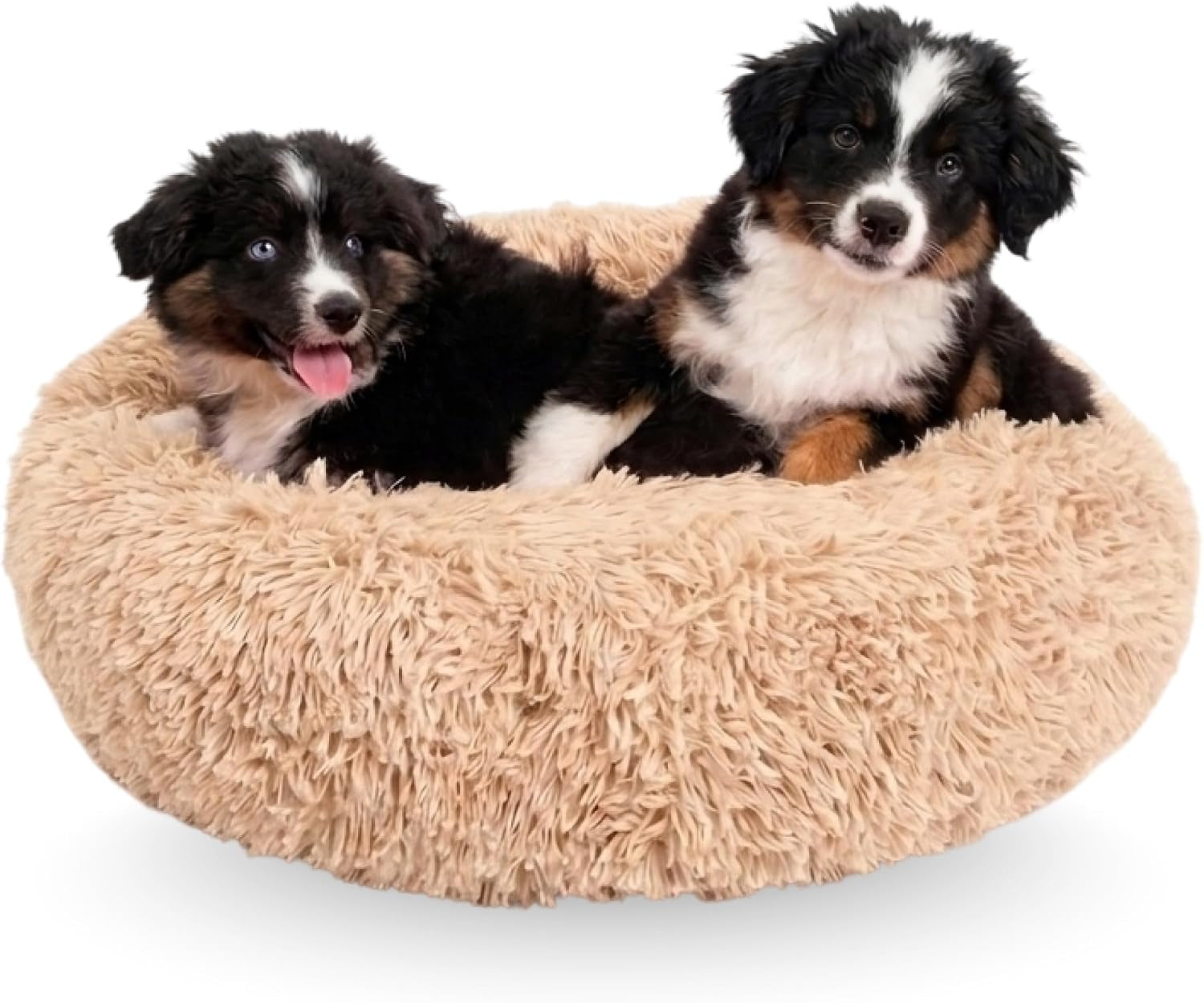 active-pets-premium-medium-donut-dog-bed-fits-up-to-45-lbs-machine-washable-cushion-plush-long-pile-faux-fur-fabric-portable-beige-pet-bed-furniture-for-puppies-adult-canines-cats
