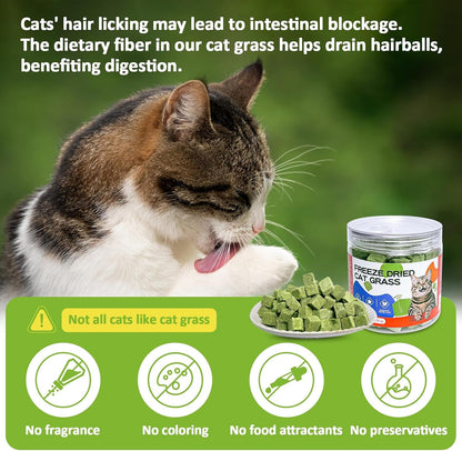 Freeze-Dried Cat Grass Treats with Premium Gourmet Blend - Natural Hairball Control & Gut Health Support for Cats (Chicken Breast Formula, 1.76 Oz)6