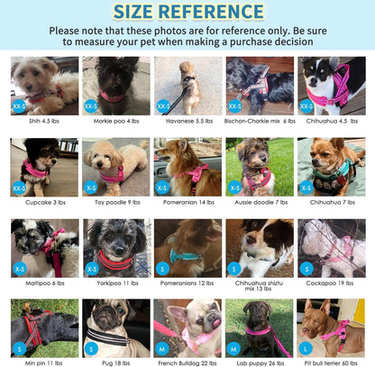 Slowton No Pull Small Dog Harness and Leash Set, Puppy Soft Vest Harness Neck & Chest Adjustable, Reflective Lightweight Harness & Anti-Twist Pet Lead Combo for Small Medium Dogs (Fuchsia, XXS)6