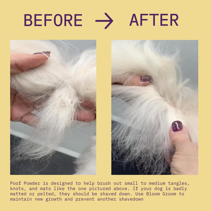 Poof Powder – Waterless Dry Shampoo and Detangler for Dogs | Demat, Detangle & Deodorize | Talc-Free, Non-Toxic, Made in USA for Mat-Prone Coats – Doodles, Poodles, and More – 1.52 Oz3