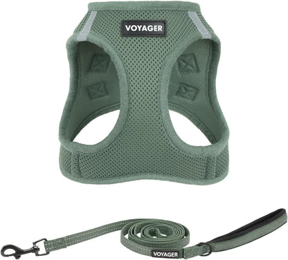 Best Pet Supplies Voyager Step-In Air All Weather Mesh Harness and Reflective Dog 5Ft Leash Combo with Neoprene Handle, for Small, Medium and Large Breed Puppies - Baby Blue, Small36