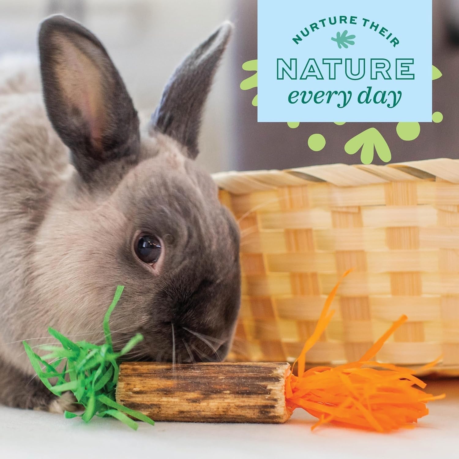 oxbow-birthday-party-pack-rabbit-guinea-pig-toys-bunny-enrichment-toys-rabbit-chew-toys-guinea-pig-enrichment-guinea-pig-chew-toys-rabbit-enrichment-natural-materials-small-pet-accessories