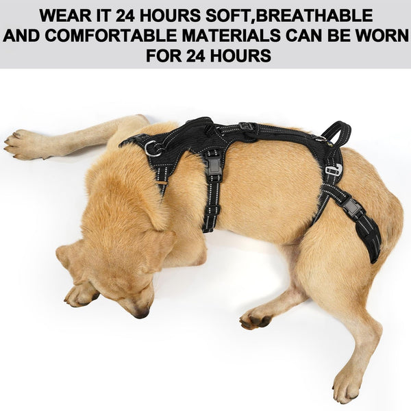 COODEO Mobility Dog Lift Harness, Support Sling & Walking Sling for Dogs, Pet Rear Leg Rehabilitation Support Vest, Dog Carrier for Senior Dogs with Joint Injuries, Arthritis, up Stair (Black, L)7