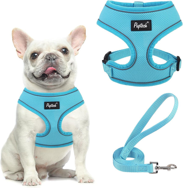 PUPTECK Soft Mesh Dog Harness Small Sized and Leash Set Pet Puppy Cat Comfort Padded Vest No Pull Harnesses, Beige, S50