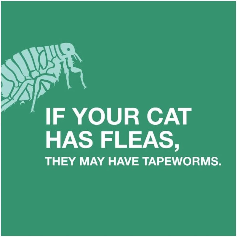 elanco-tapeworm-dewormer-praziquantel-tablets-for-cats-and-kittens-6-weeks-and-older-3-count