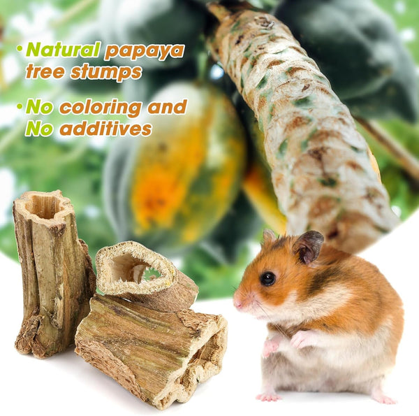 Abizoo Natural Bunny Chew Toys,6 Pcs Organic Papaya Wood Sticks Chew Toys for Rabbit,Hamster,Guinea Pig,Chinchilla,Gerbil,Rat Healthy Chews Teeth Grinding Treats, Squirrel Molar Snack2