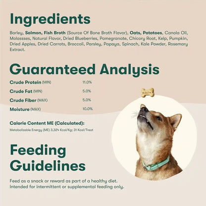 Jinx Dog Biscuits, Oven-Baked Dog Treats with Salmon Bone Broth, 16Oz | 1-Pack Crunchy & Healthy Dog Treat, Superfood-Rich with Real Salmon, Dog Cookies for Puppies, Adults & Senior Dogs6