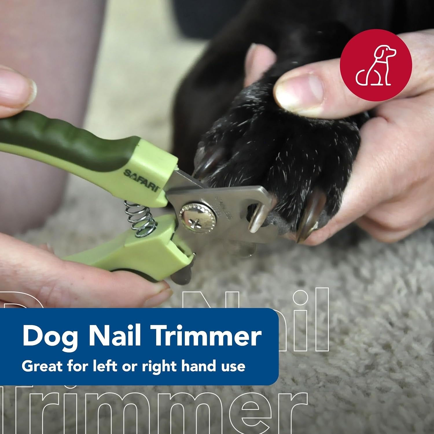 coastal-pet-safari-professional-dog-nail-trimmer-dog-nail-clippers-for-grooming-dog-claw-care-for-small-large-dogs-nail-trimmer-pet-supplies-for-dog-grooming-standard-5-x-1-5