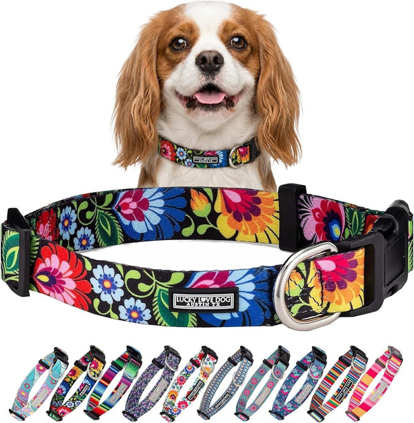 Lucky Love Dog - Easy Click Buckle Dog Collar with Leash Set Combo, Durable & Comfortable for Male & Female Dogs, Pet Collar for Medium Dogs, Secure Fit - Blackbird Combo, Medium94