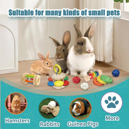 QWR 9PCS Wooden Bunny Toys,Safe Rabbit & Guinea Pigs Teeth Grinding Toy for Chinchillas, Hamsters & Small Animals - Indoor & Outdoor6
